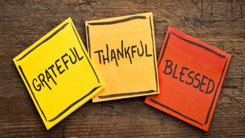 Importance of Gratitude