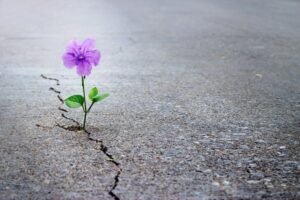 Winner is The One Who Doesn-t Lose Hope