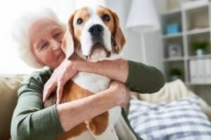 How Having Pet Helps Protect Against Cognitive Decline in Elderly