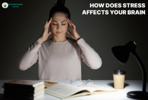 How does Stress affect Your Brain?