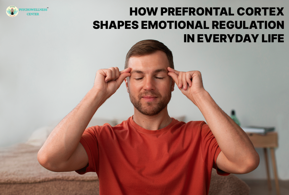 How Prefrontal Cortex Shapes Emotional Regulation in Everyday Life