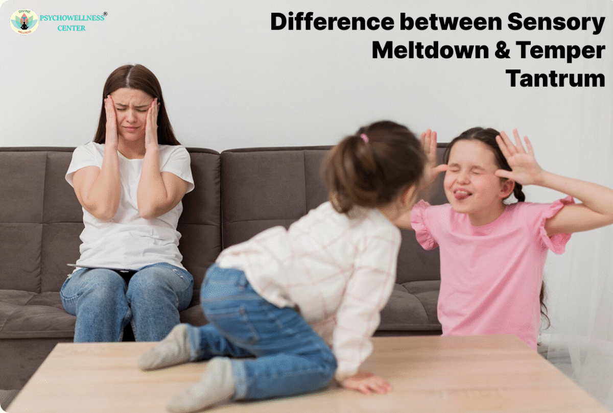Difference Between Sensory Meltdown & Temper Tantrum