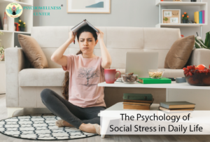 The Psychology of Social Stress in Daily Life
