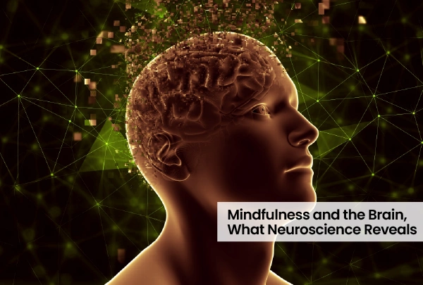 anxiety, burnout, stress, resilience, emotion control, Mindfulness, loneliness, low motivation, ADHD, time management, sleep, self-improvement,